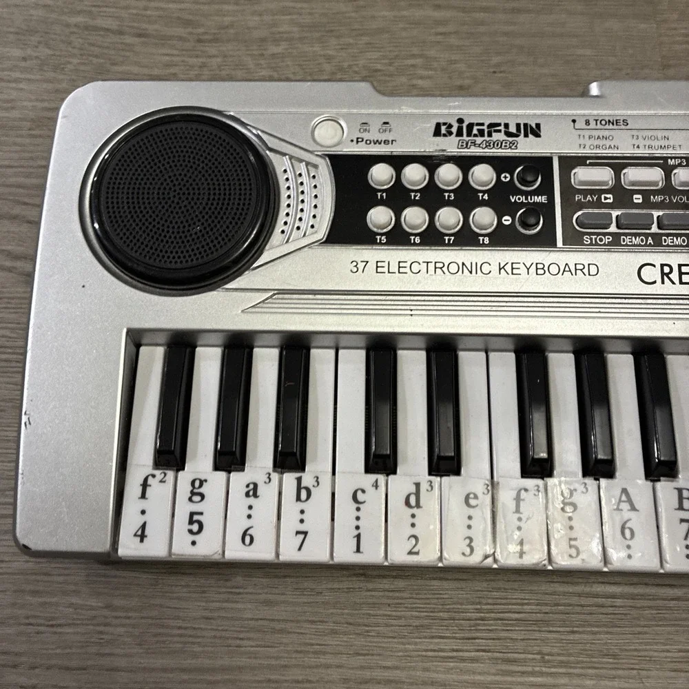 Big Fun Children Electronic Keyboard With Microphone For Musical Practice VZNK